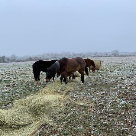 Chambres D Hote A La Ferme Des Buttons, Chambre Iris Rosnay Kültér fotó