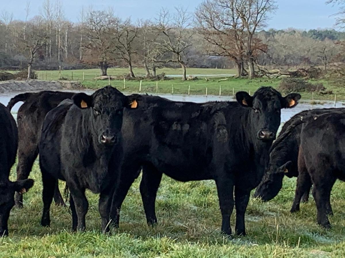 Chambres D Hote A La Ferme Des Buttons, Chambre Iris Rosnay Kültér fotó